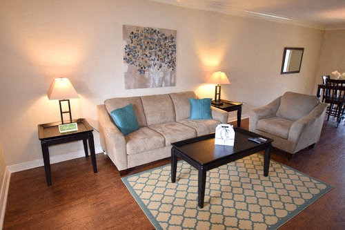 Gorgeous Living Room at The Diplomat of Jackson Apartment Homes, Jackson, Mississippi, 39211